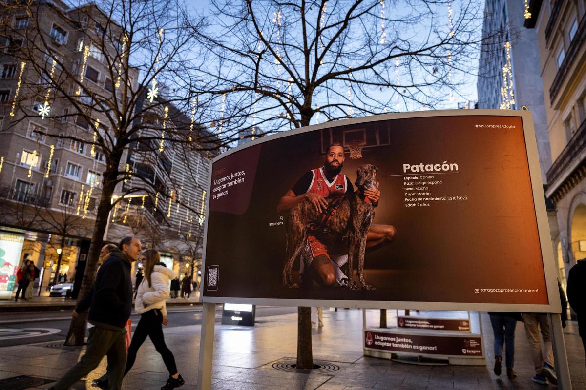 La nueva campaña del Casademont Zaragoza. La nueva campaña del Casademont Zaragoza.