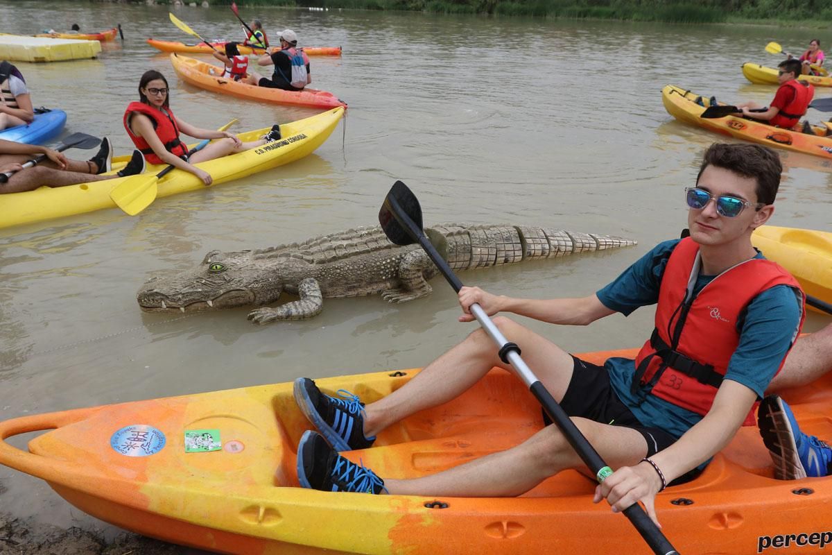 Ruta del Caimán por el río Guadalquivir