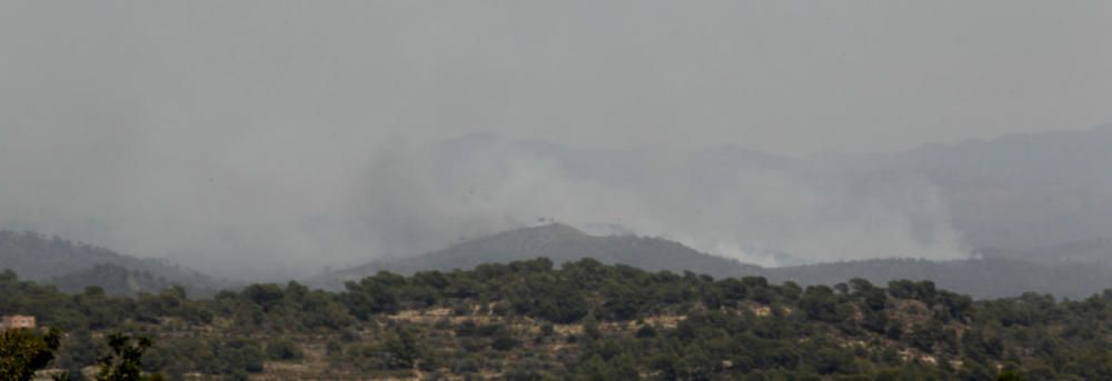 Andilla: ocho años desde su gran incendio