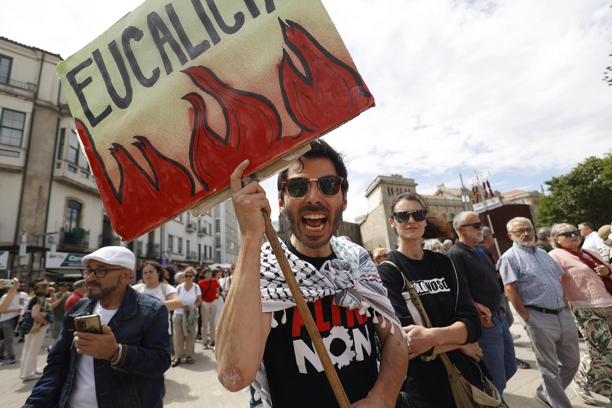 Miles de gallegos marchan de Pontevedra hasta Lourizán en protesta por las celulosas de Ence y Altri