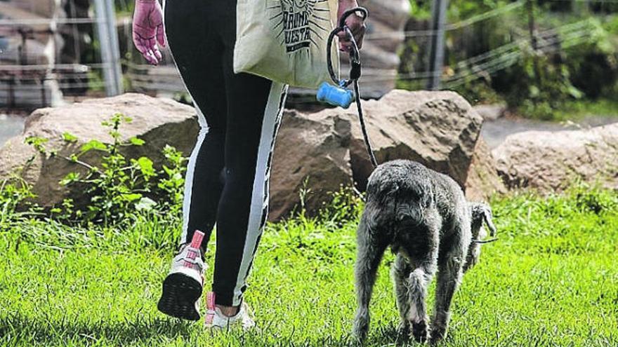 Una mujer pasea a su perro en Santa Cruz durante el estado de alarma.