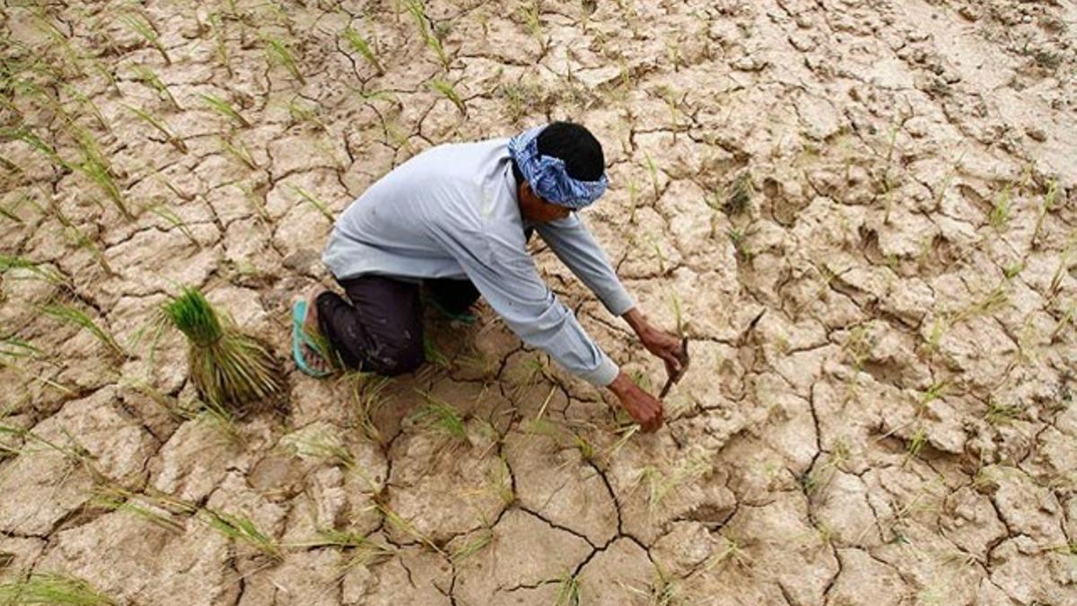 Agricultor en un campo yermo en Camboya