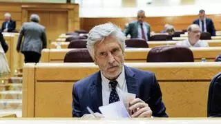 Marlaska rechaza una unidad permanente de documentación de la Policía Nacional en El Hierro