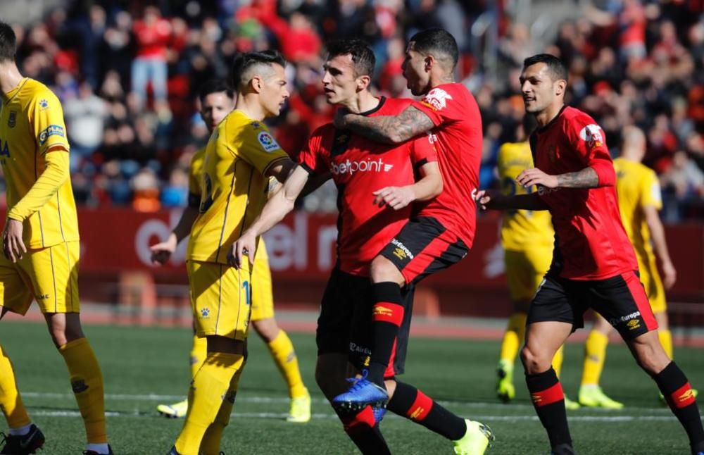 Real Mallorca - Alcorcón