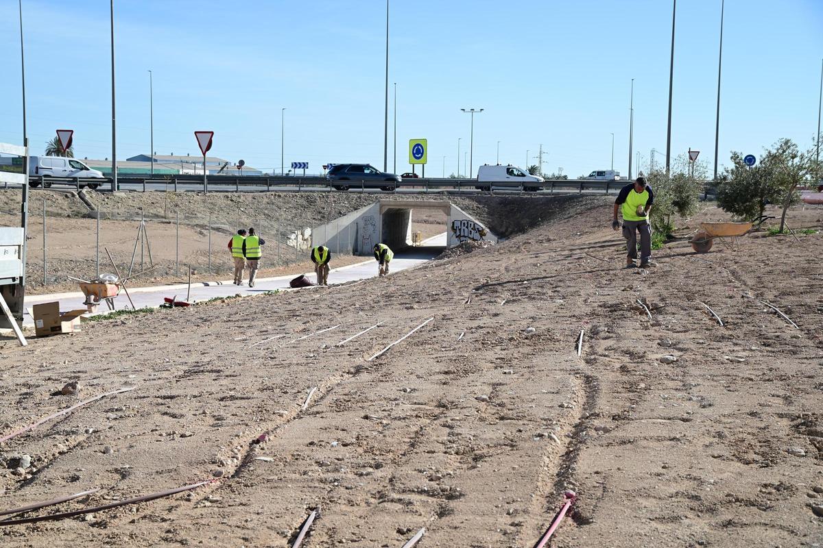 Los operarios instalando las conducciones del riego por goteo en la Ronda Sur, en el entorno del estadio.