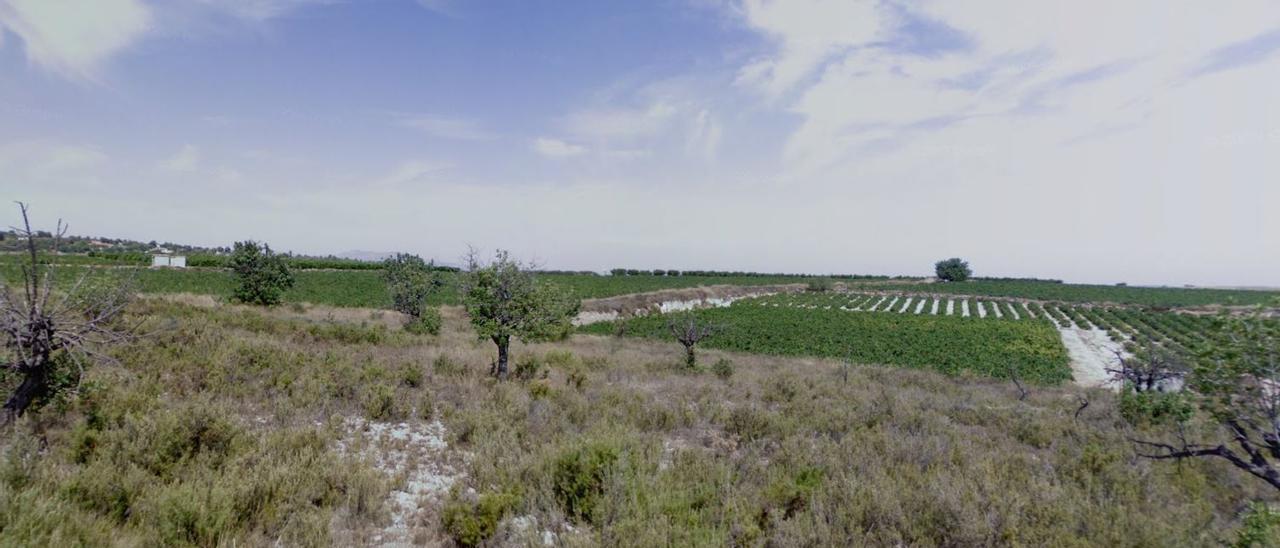 Una de las zonas donde se prevé la instalación de la planta Fotovoltaica &#039;Godelleta 2&#039;