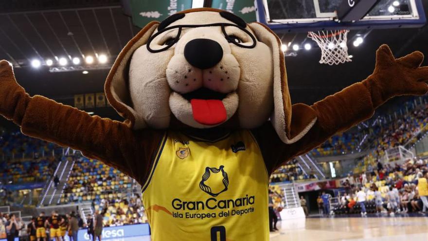 Granky anima a la afición del Gran Canaria Arena durante uno de los partidos de la pasada temporada. | | M. HENRÍQUEZ