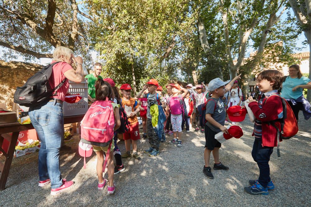 Onze escoles anellen pollets de cigonya al Castell