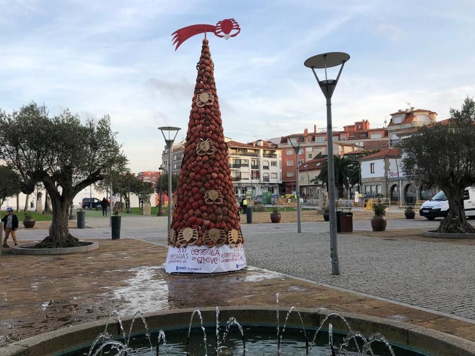 El árbol de O Grove, imbatible en originalidad // Muñiz