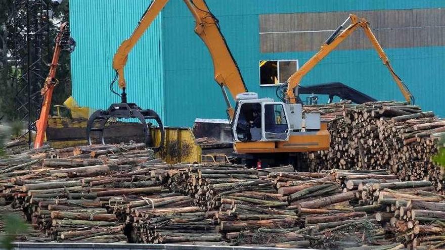 Grúas moviendo madera en el recinto de Ence. // Rafa Vázquez