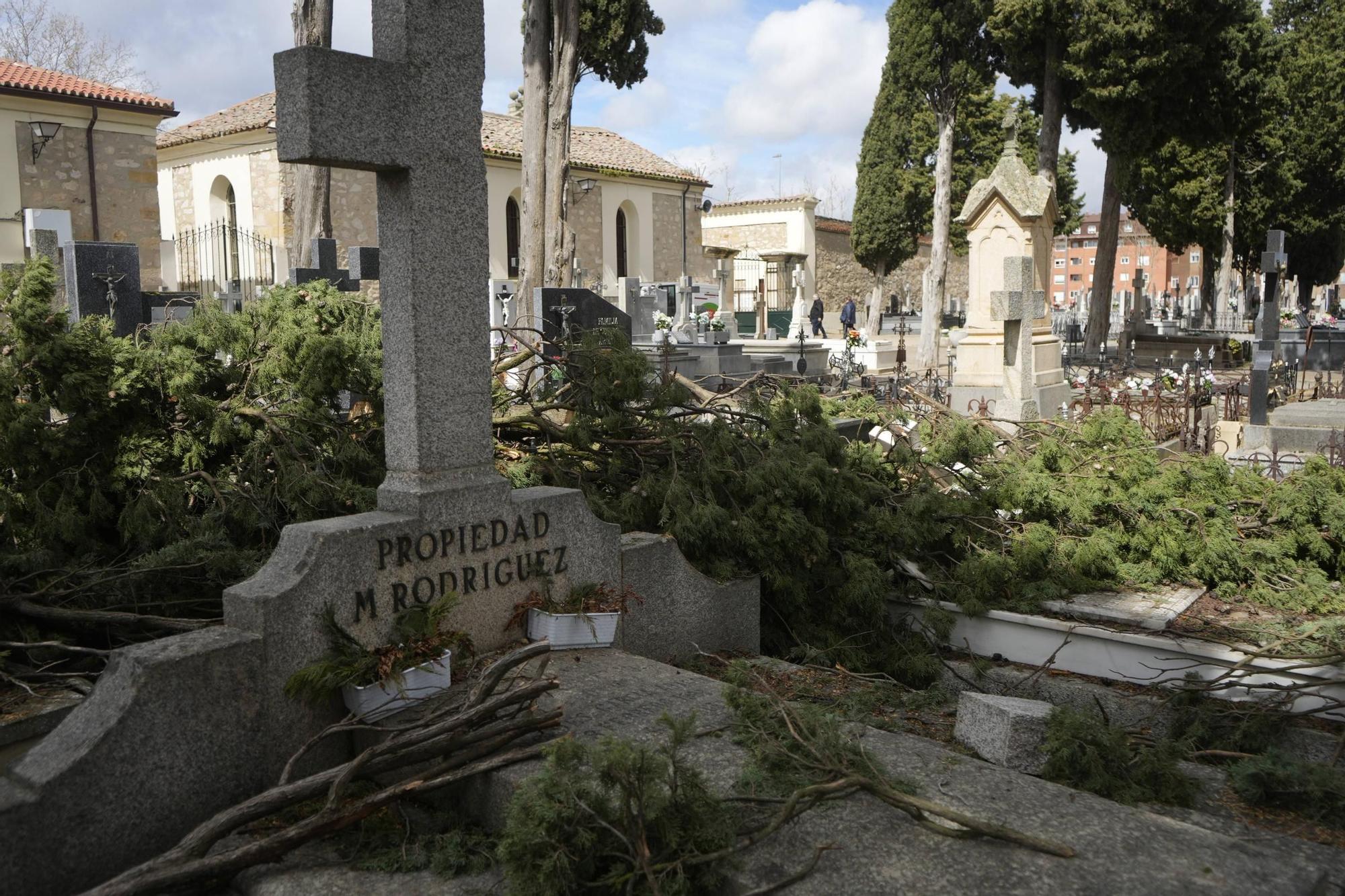 Los importantes daños del temporal en el Cementerio de Zamora