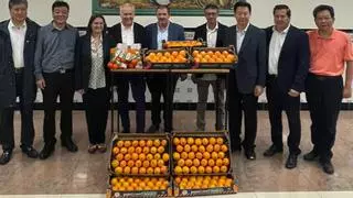 China se interesa por la naranja y el caqui de Carlet