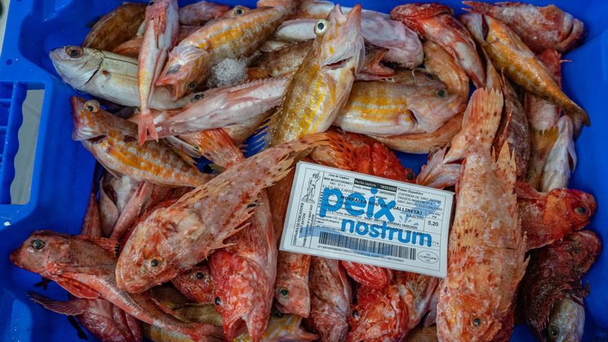 Los pescadores de Ibiza apuestan por la calidad y la sostenibilidad