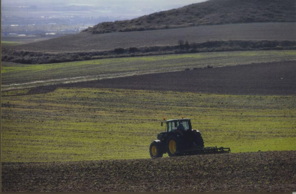 Un tractor realizando labores en una parcela de la Tierra del Pan | JOSE LUIS FERNÁNDEZ (ARCHIVO)