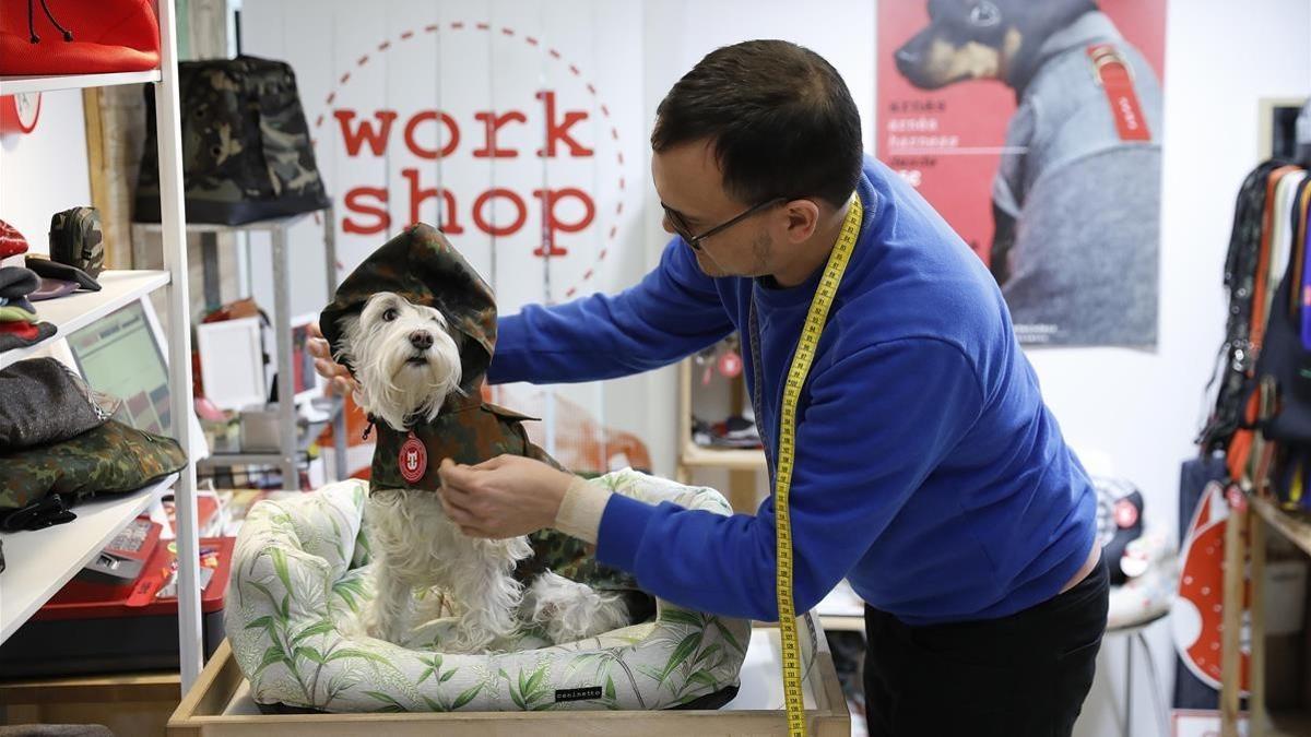 Accesorios de boda para perros, lo último en moda canina