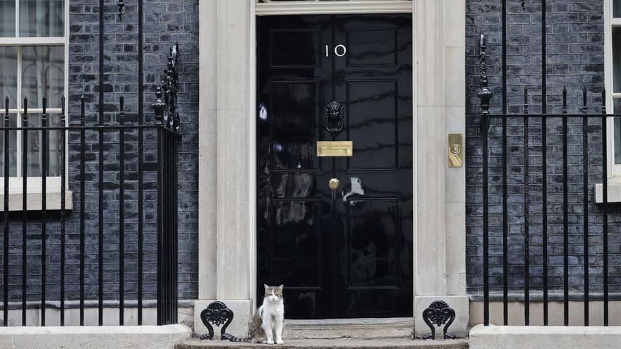 Larry the cat: el gat ratador de Downing Street que triomfa a les xarxes