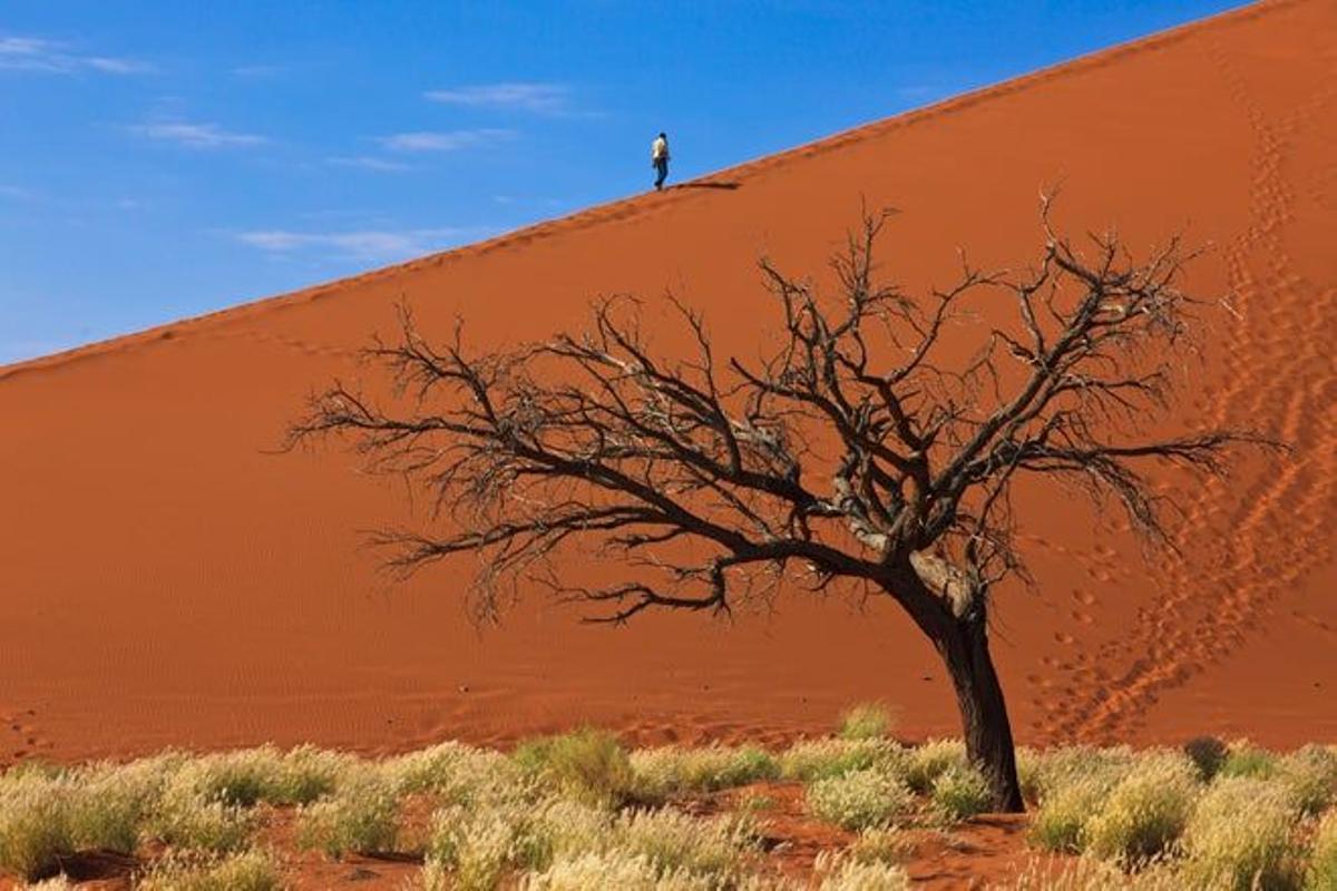 El desierto del Namib
