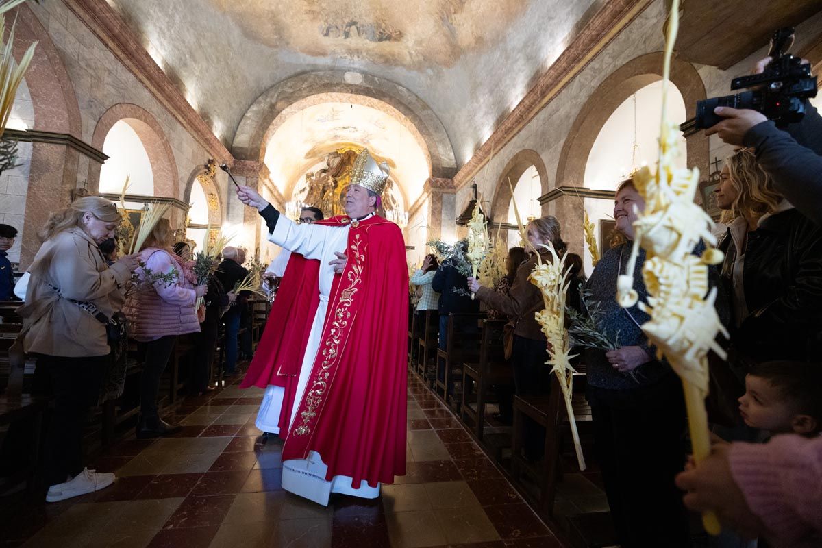 Todas las imágenes de la procesión de la Borriquita de Ibiza