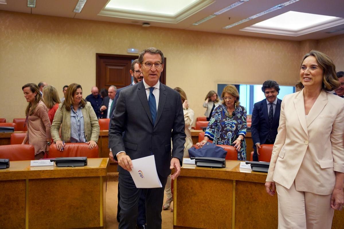 Alberto Núñez Feijóo, en el Congreso.