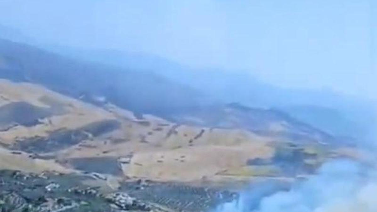 Incendio forestal declarado en Antequera