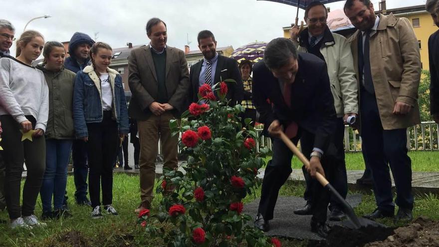 El presidente del Principado planta una camelia en el patio del Instituto de Infiesto en presencia de la comunidad educativa y los alcaldes de Piloña, Nava, Villaviciosa y Cabranes.