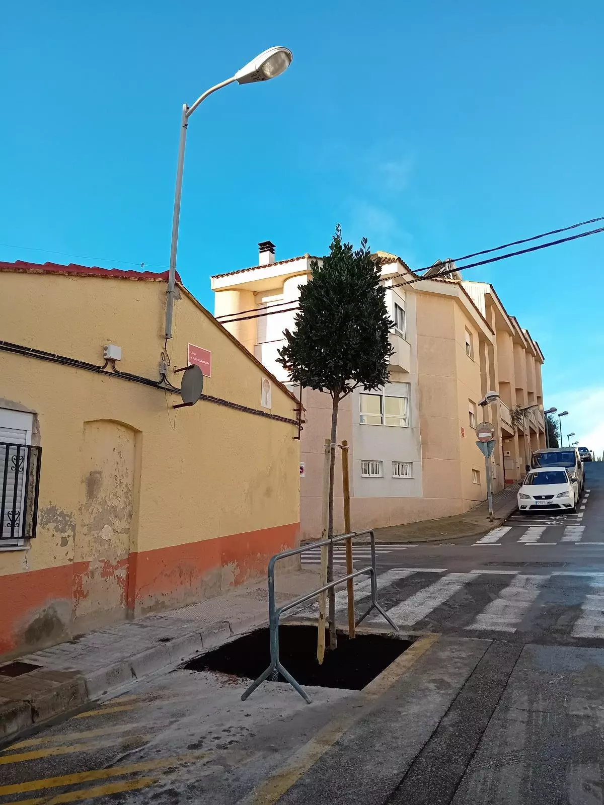Plantan 38 árboles en Ontinyent para atender la petición de los vecinos y tener más espacios de sombra