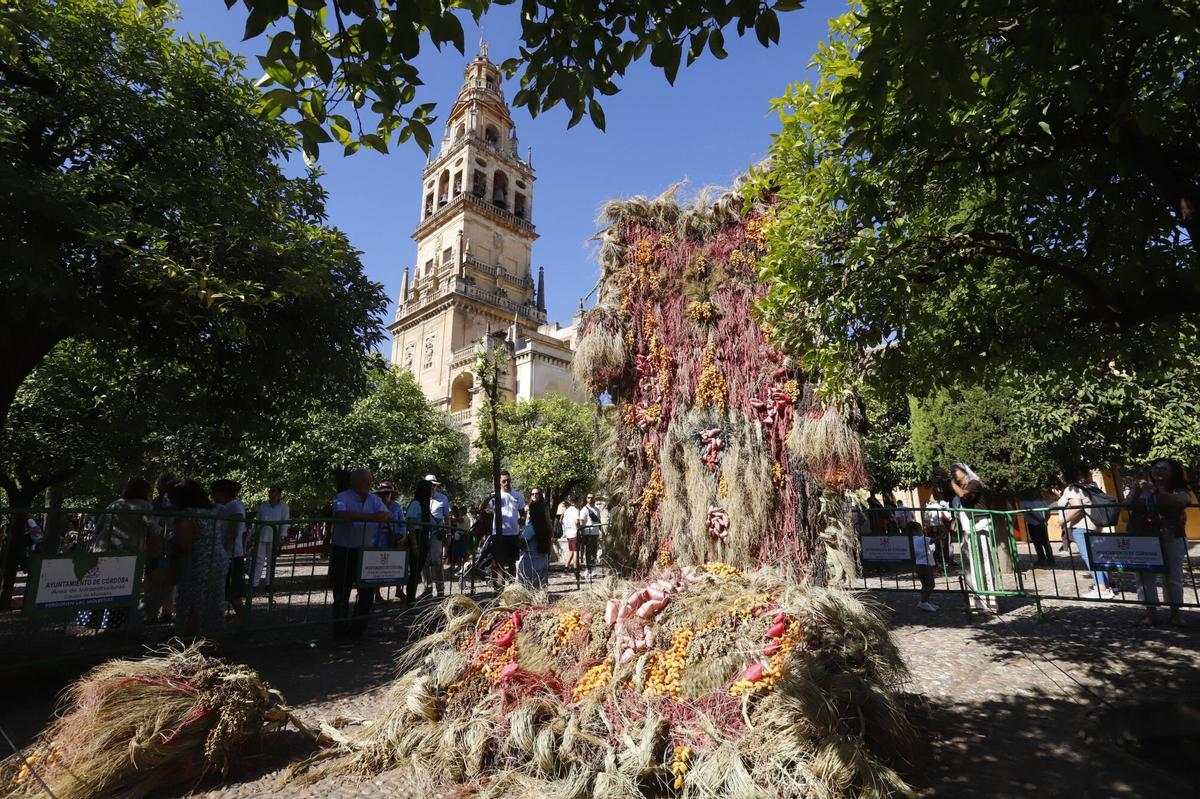 A.J.González Córdoba Flora 2025 Mezquita Patio de los Naranjos Putnam Flowers Tramas pasadas, calma futura