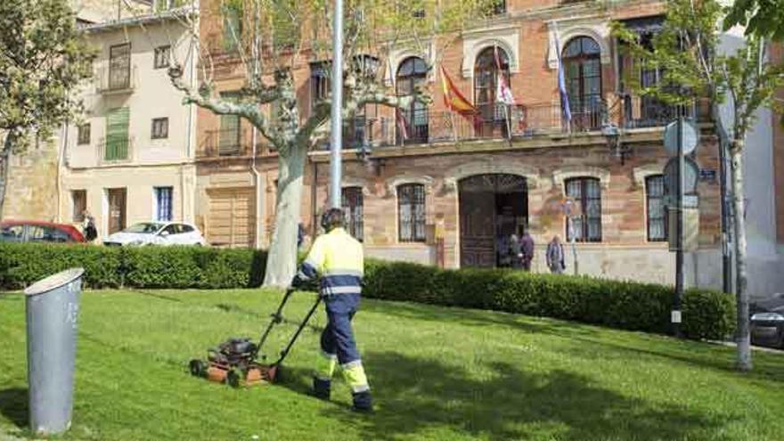 Un jardinero corta el césped del jardín de la plaza del Grano, frente a la Casa Consistorial.