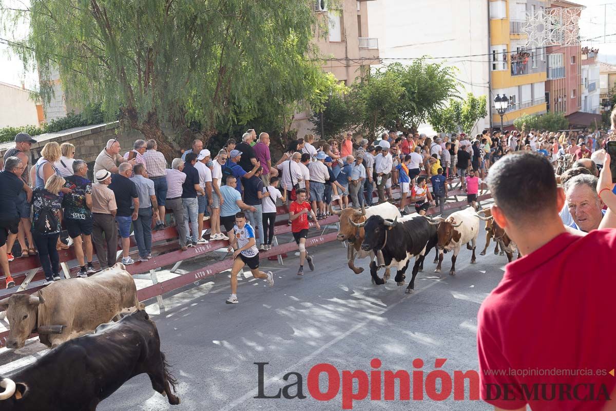 Séptimo encierro de las Fiestas de Moratalla