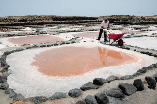 Reportaje en las Salinas de Tenefe en Pozo Izquierdo