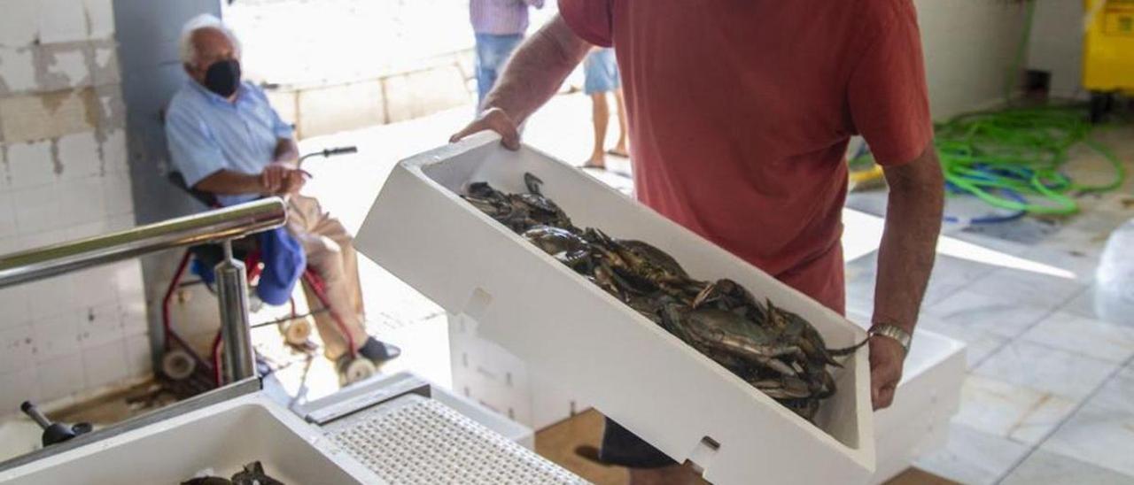 Un pescador descarga su mercancía en la lonja de San Pedro. | IVÁN URQUÍZAR