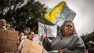 Los empresarios de Anaga piden una solución consensuada al colapso del tráfico