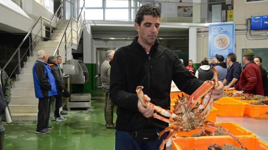 Un marinero muestra un ejemplar de centolla, ayer en la lonja de Bueu. |   // G.NÚÑEZ