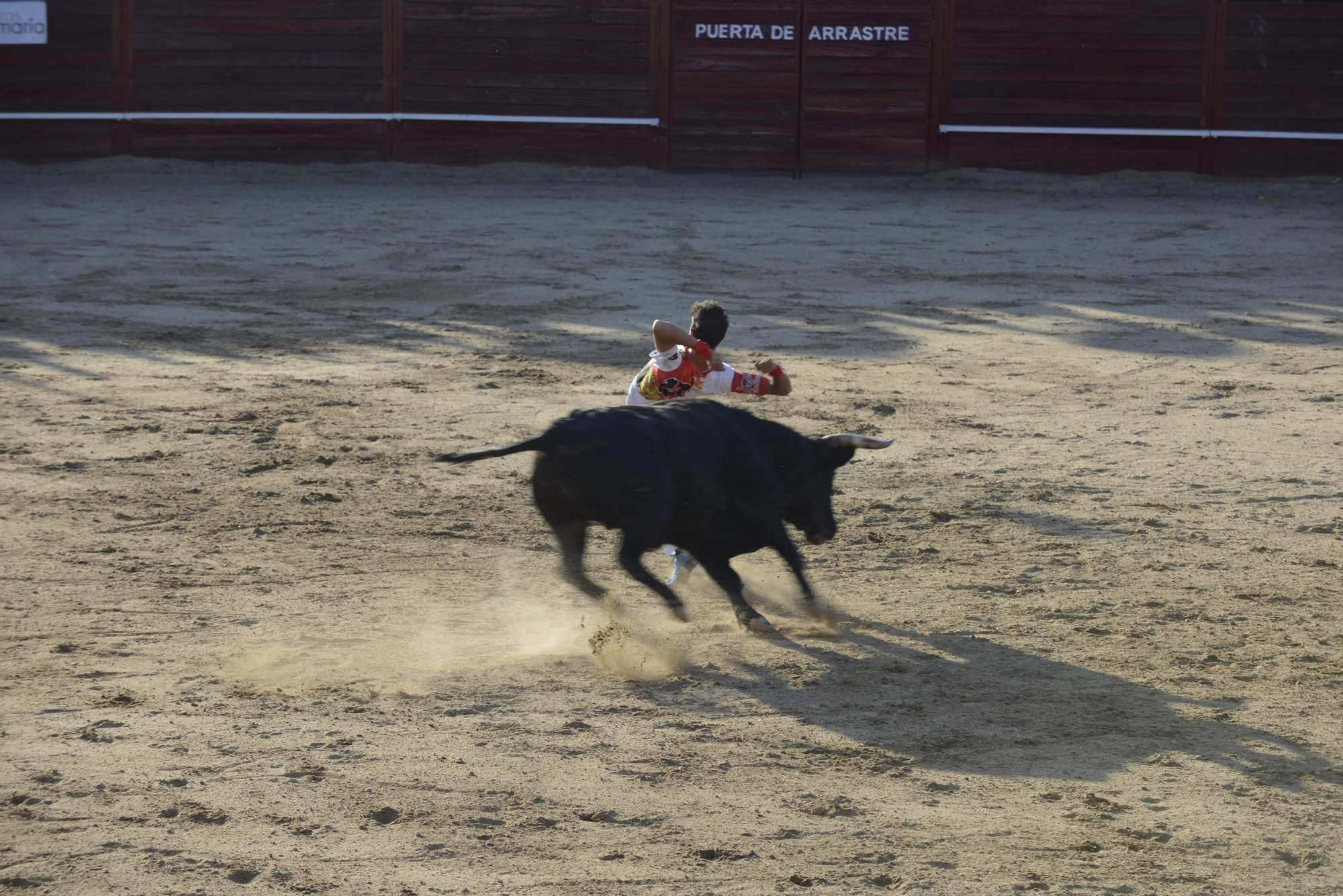 GALERÍA | Unos cuantos cortes de los arriesgados en Benavente