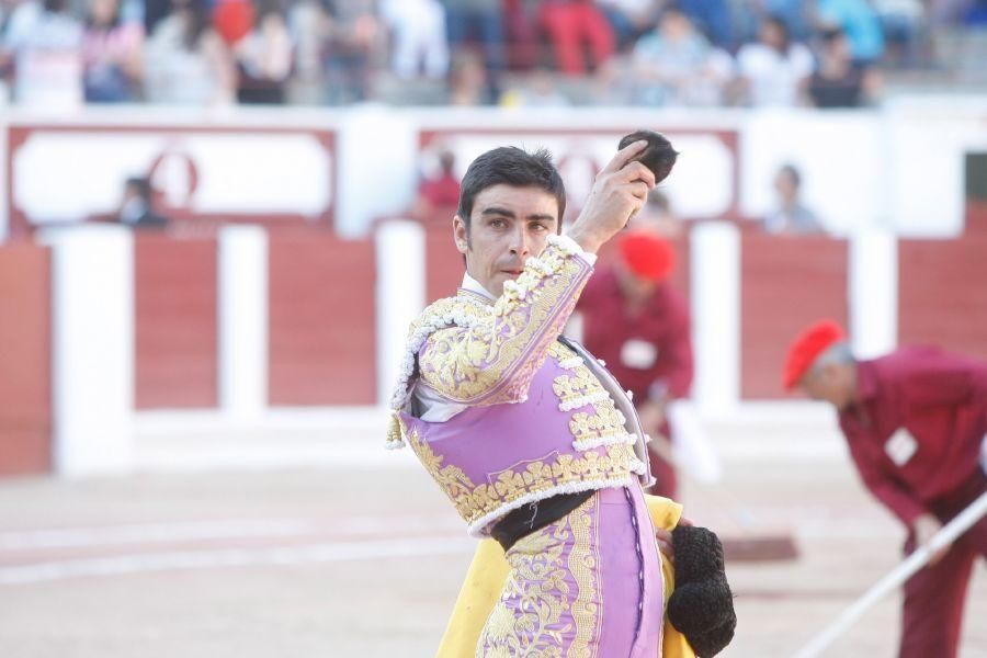 Toros en Zamora