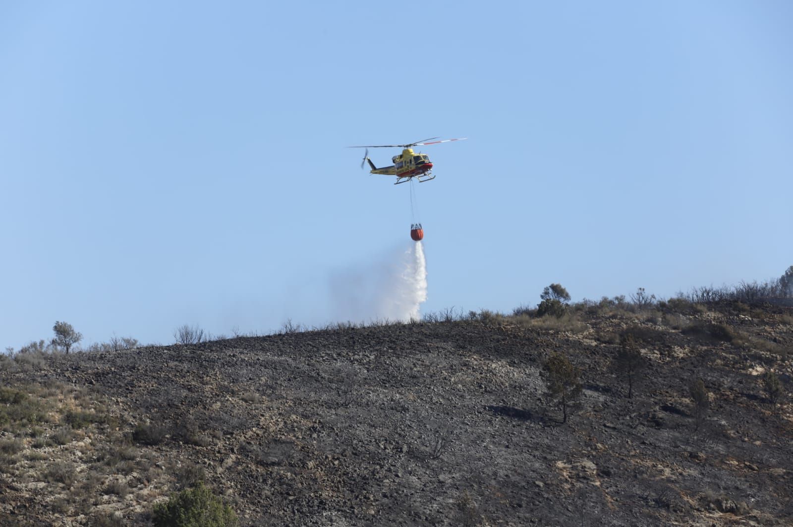 Las imágenes del incendio de Real