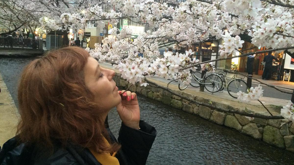 La mierense Gisele Fernández, profesora asturiana en Kioto, huele unos cerezos en flor en esta ciudad japonesa.
