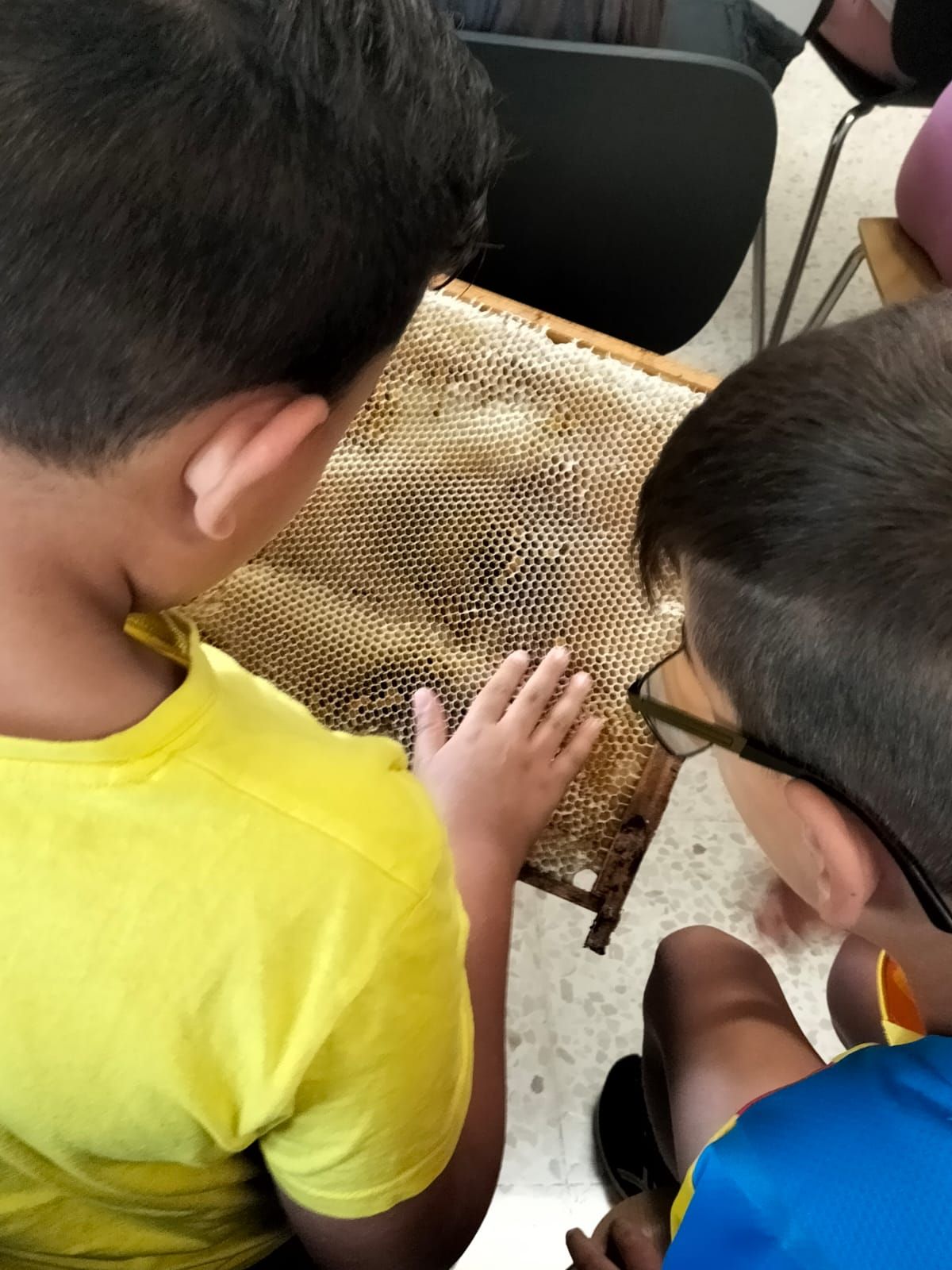 La apicultura y las abejas llegan al colegio Port de Xàbia