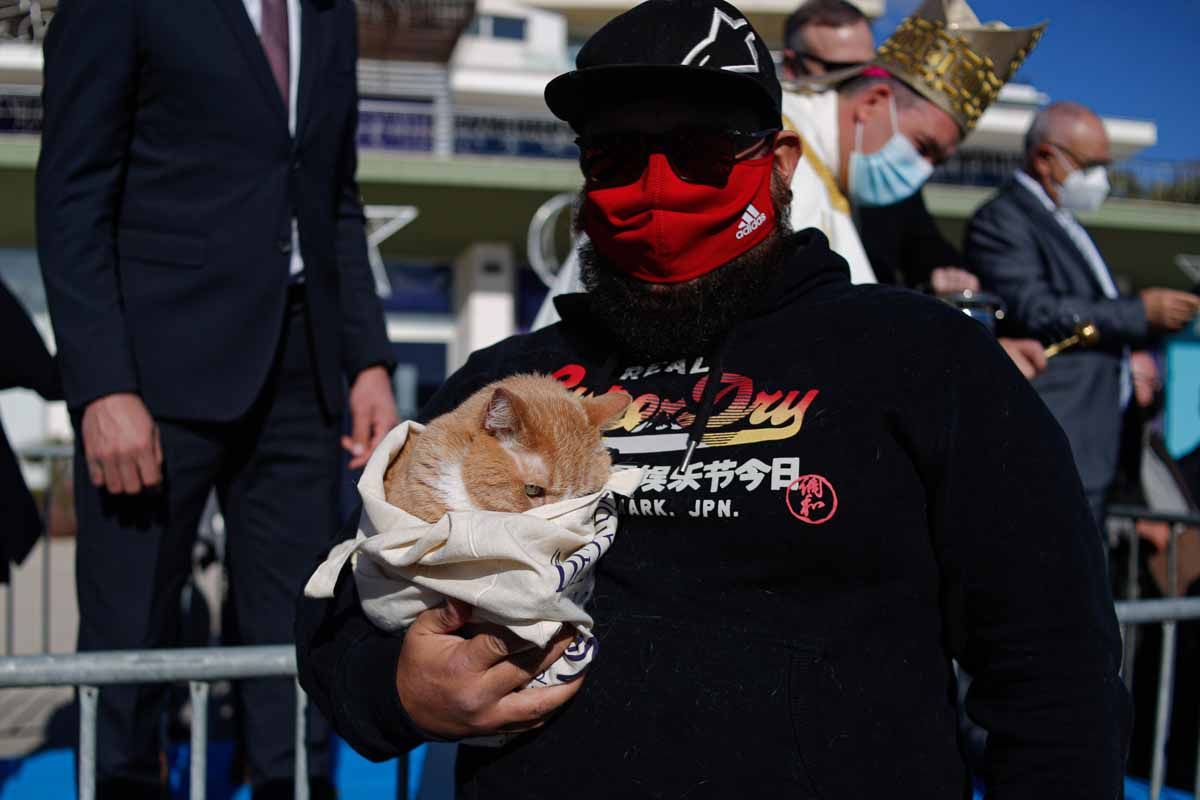 Bendición de animales en Sant Antoni