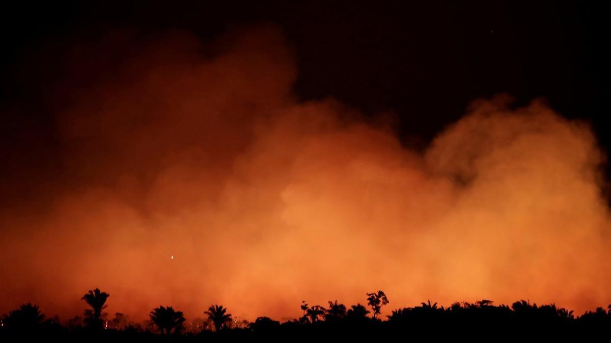 Incendio en la amazonía de Brasil