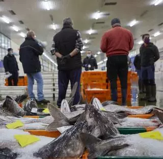 La flota gallega encara la Navidad con el peor balance de capturas de los últimos 20 años