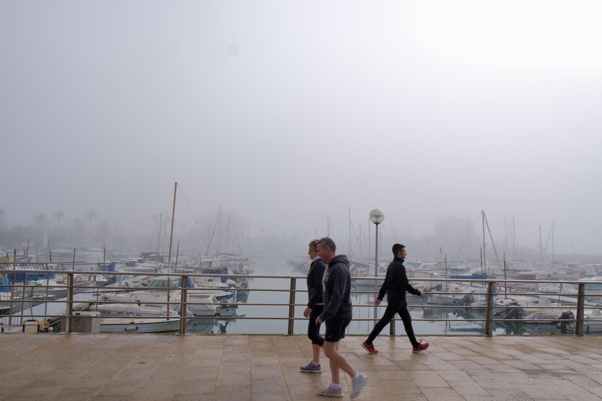 FOTOS | Mallorca amanece cubierta de niebla
