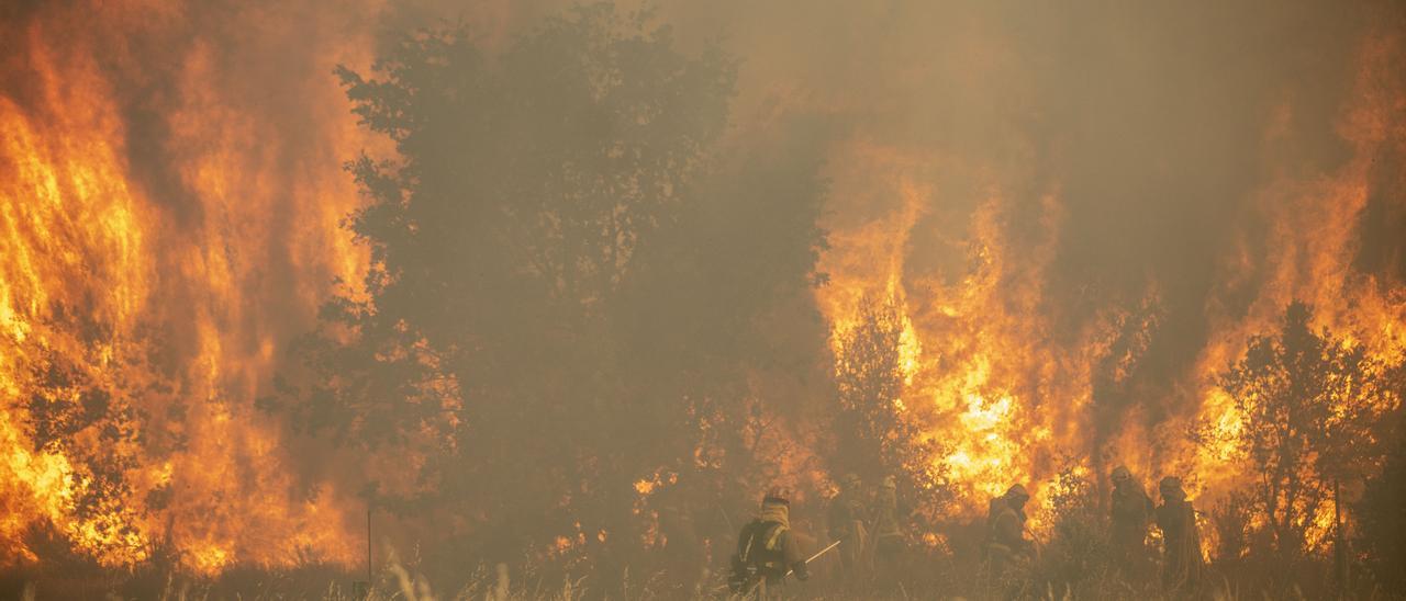 INCENDIO SIERRA DE LA CULEBRA. CALZADA DE TERA