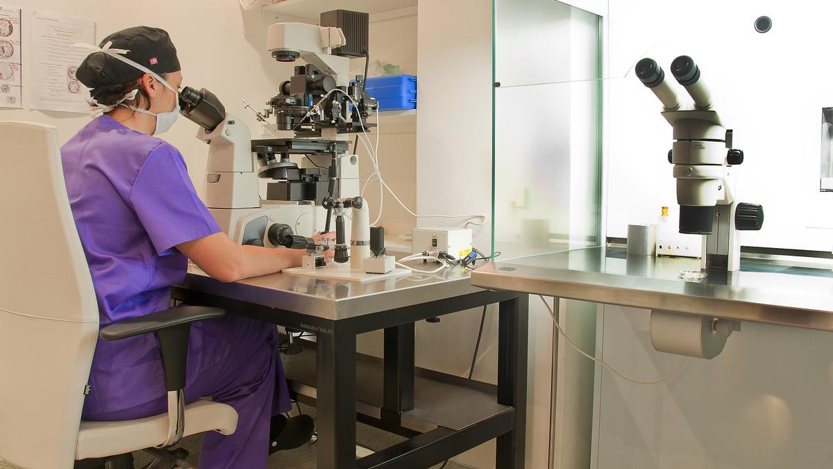 Los embriólogos pasan por diferentes controles que evalúan sus aptitudes en el laboratorio.
