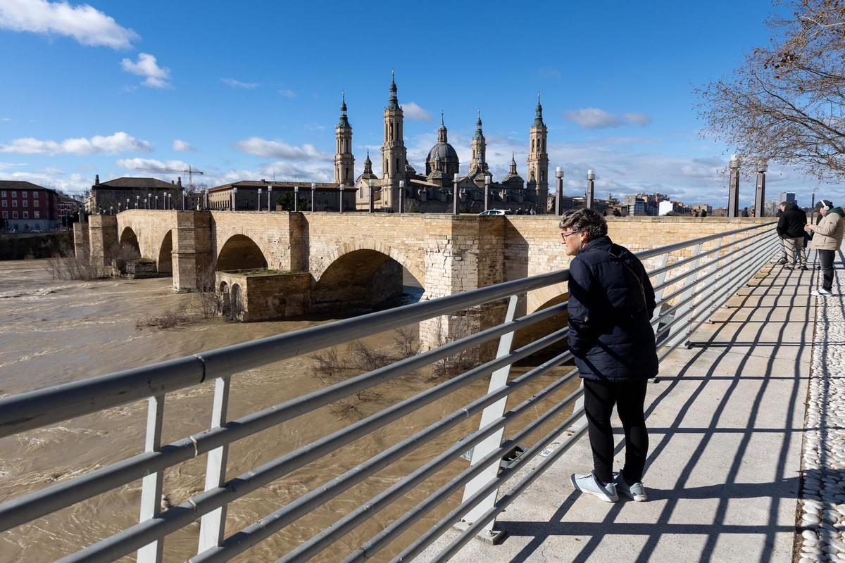 En imágenes I Árboles caídos en Zaragoza y parques cerrados por el viento