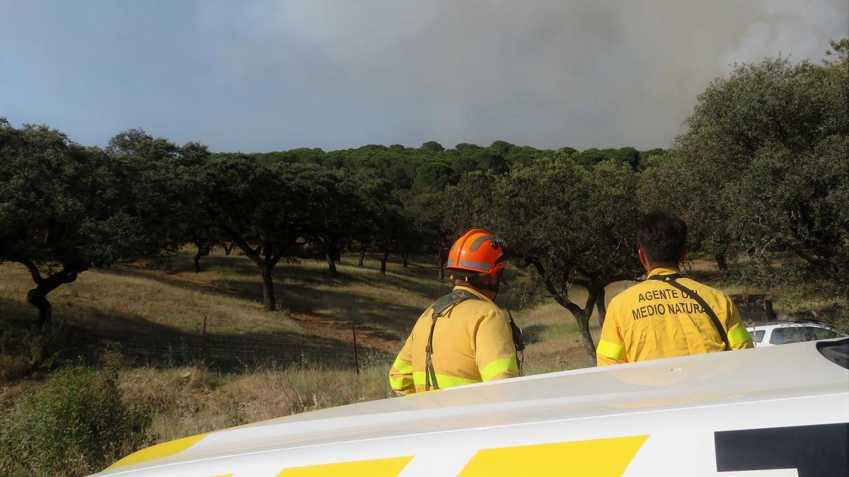 INCENDIO MACHADO 2026/INCENDIO EL MACHADO 2026 (28) INCENDIO MACHADO 2026/INCENDIO EL MACHADO 2026 (28)