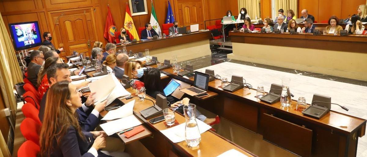 Imagen del Pleno de Córdoba desde la bancada de la derecha