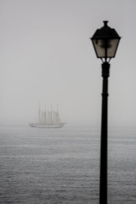 Llegada de tres goletas de la Armada Española y de un barco de la escuela de la Marina Portuguesa a la bahía de Gijón