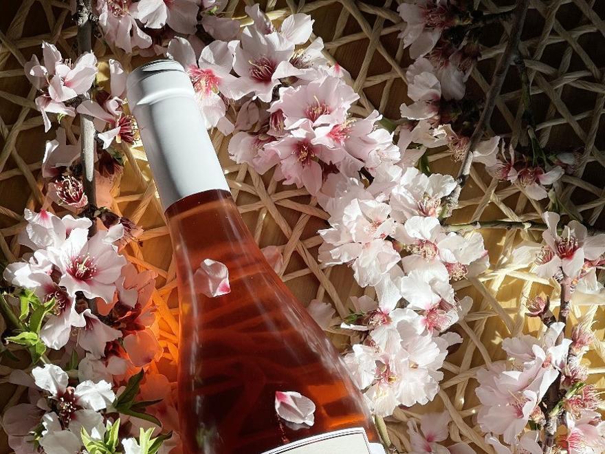 El rosado &quot;Templanza  Pinot Noir 2023&quot;, medalla de plata en el  XXII Concurso Internacional de Vinos Bacchus 2024