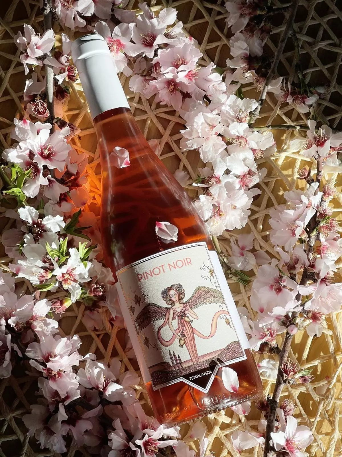 El rosado "Templanza  Pinot Noir 2023", medalla de plata en el  XXII Concurso Internacional de Vinos Bacchus 2024